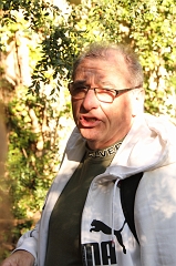 59 (17)